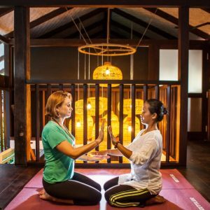 Yoga And Healing Retreats