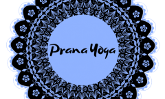 Shop Pranic Healing Yoga Bali